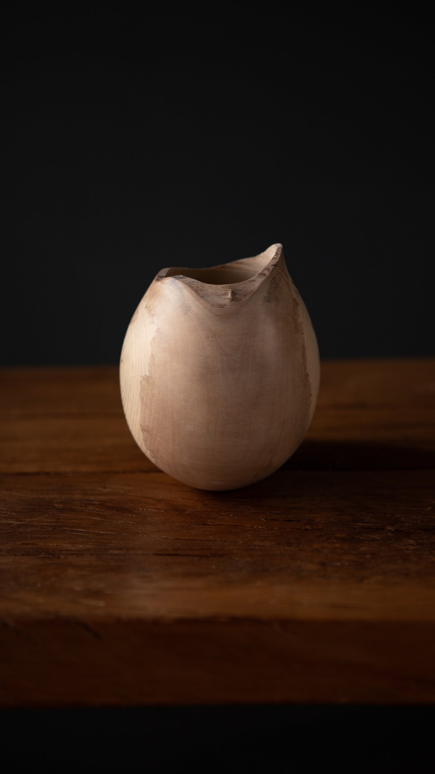 Holly Vessel III