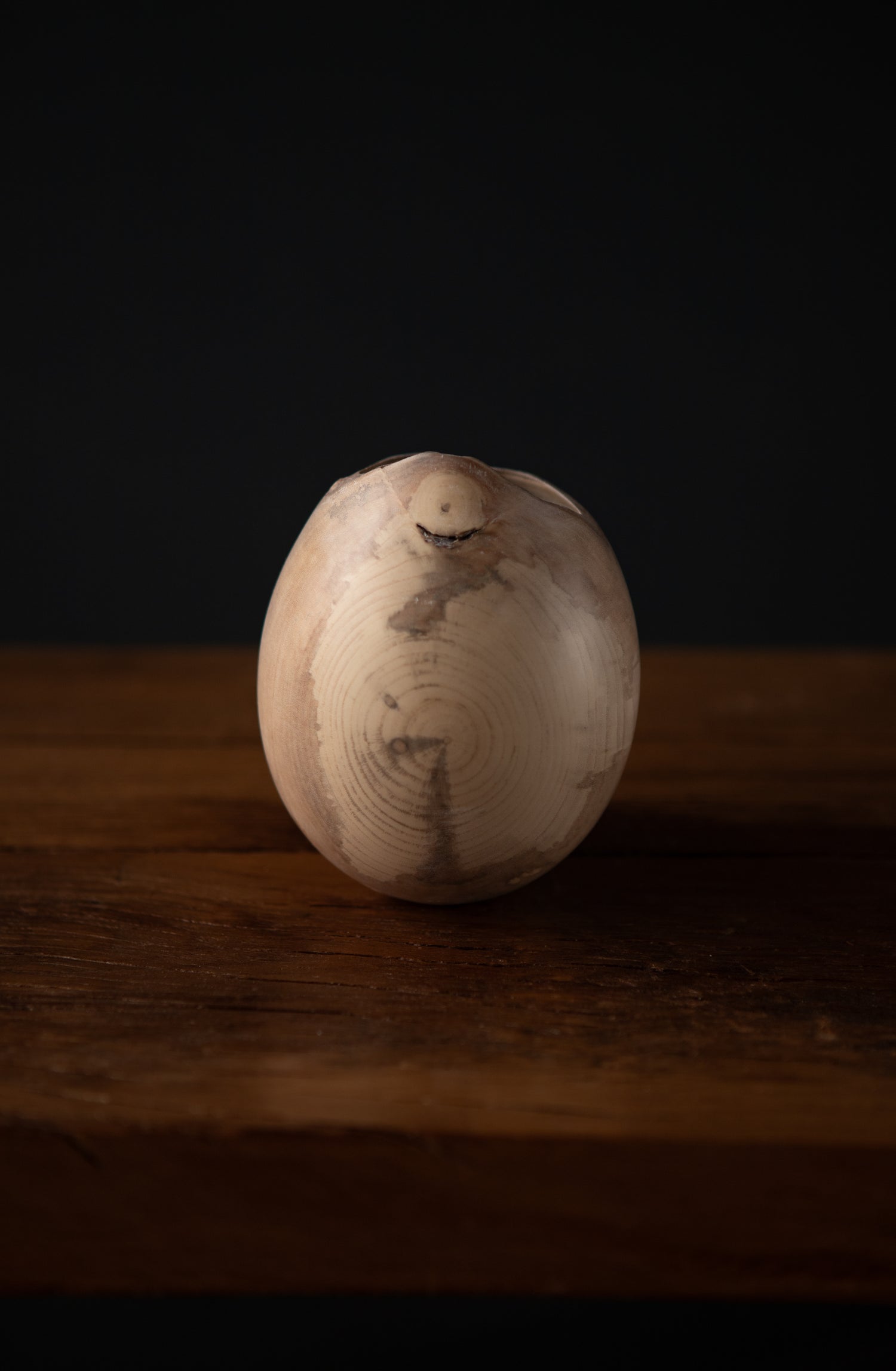 Holly Vessel III