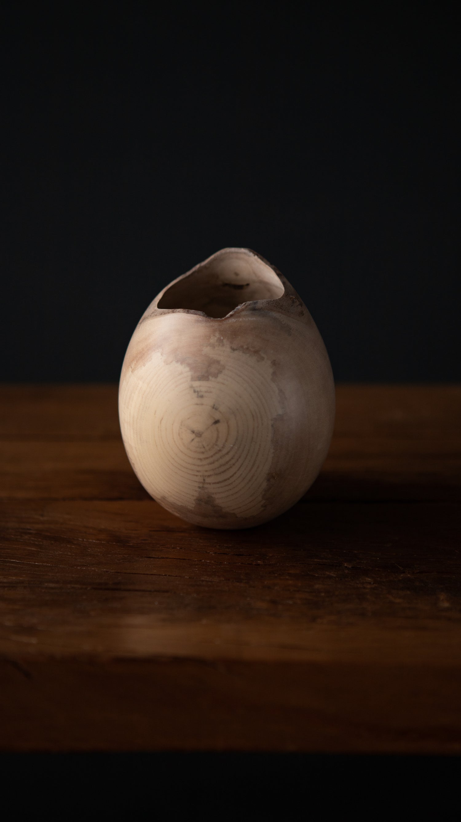 Holly Vessel III