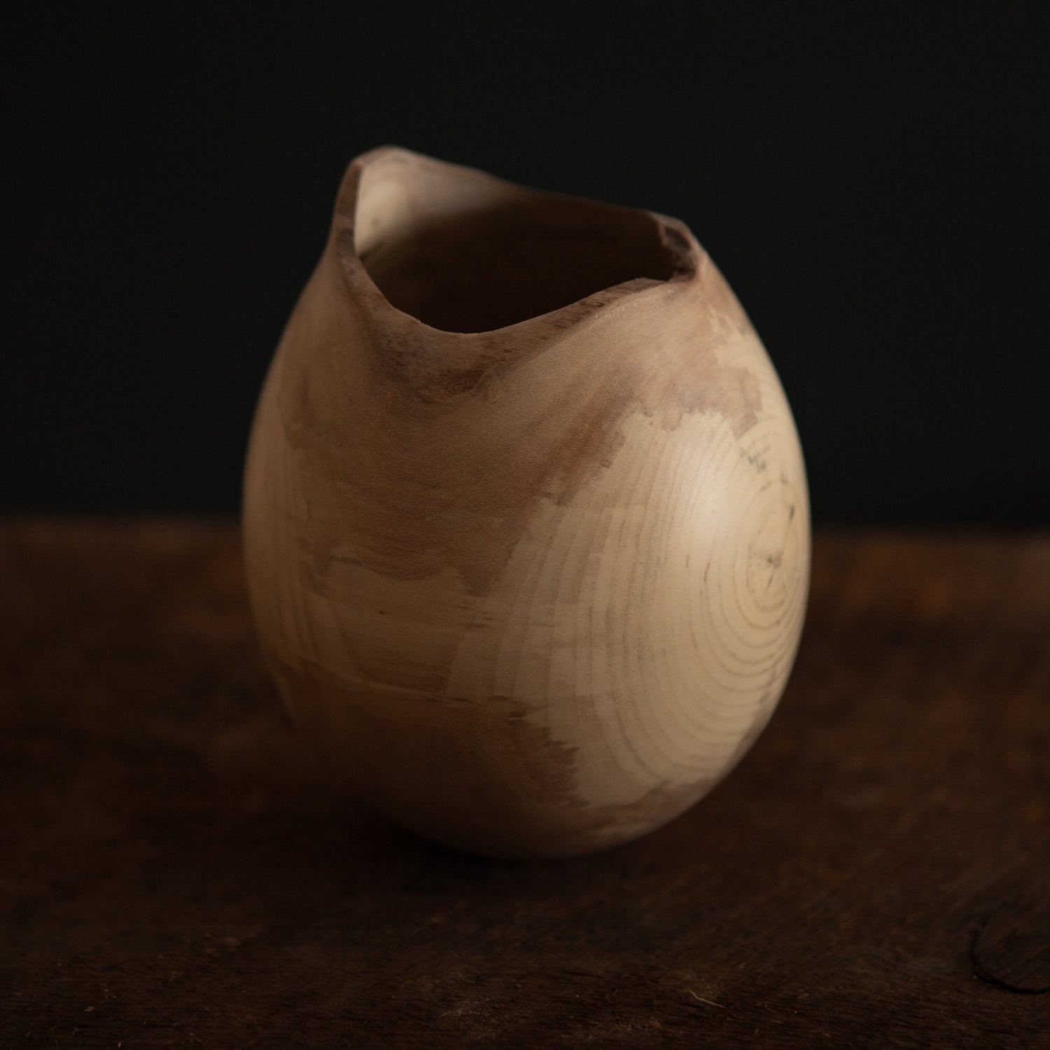 Holly Vessel III